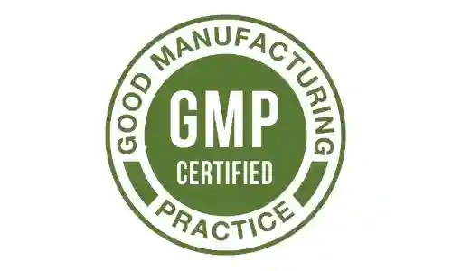 VisionX GMP Certified
